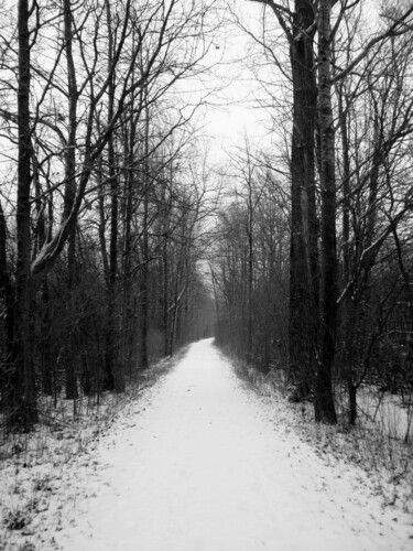 Фотография под названием "2010-01-29" - Doug R. W. Dunigan, Подлинное произведение искусства, Цифровая фотография