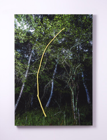 Photography titled "REAL05" by Yasuo Kiyonaga, Original Artwork, Digital Photography Mounted on Wood Panel