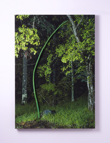Photography titled "REAL08" by Yasuo Kiyonaga, Original Artwork, Digital Photography Mounted on Wood Panel