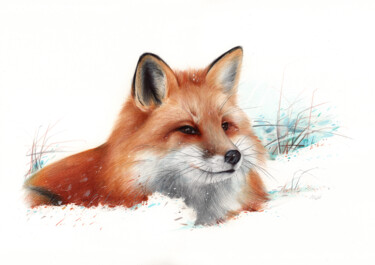 Red Fox Portrait (Photorealistic Pen Drawing) 图画 标题为“Red Fox Portrait (P…” 由Daria Maier, 原创艺术品, 圆珠笔