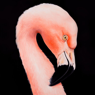 Pink flamingo 绘画 标题为“Pink flamingo” 由Svitlana Kalinina, 原创艺术品, 油