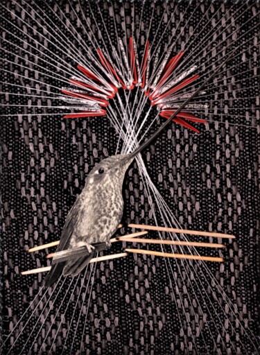 Collages titled "Bird song 3" by Iztok Šostarec, Original Artwork, Collages