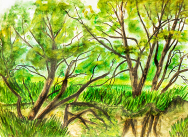 Willow trees near river Ζωγραφική με τίτλο "Willow trees near r…" από Irina Afonskaya, Αυθεντικά έργα τέχνης, Ακουαρέλα