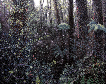 Pintura titulada "La natura em crida" por Josep Maria Fontanet Sureda, Obra de arte original, Oleo Montado en Bastidor de ca…