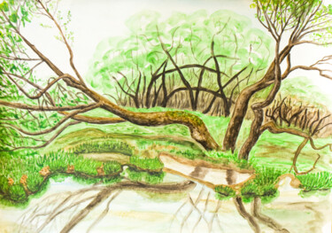 Willow trees and water Painting titled "Willow trees and wa…" by Irina Afonskaya, Original Artwork, Watercolor