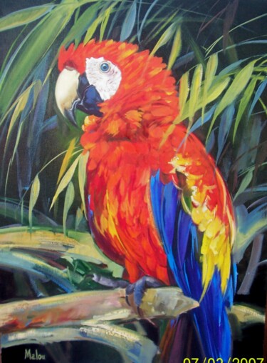 Peinture intitulée "Ararinha vermelha" par Malou Pombo, Œuvre d'art originale, Huile