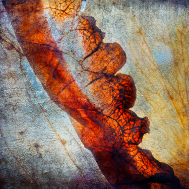 Fotografie getiteld "Transparences-5698" door Josy Moderne, Origineel Kunstwerk, Digitale fotografie