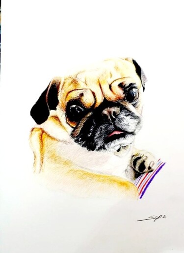 Drawing titled "Old dog II" by São Vieira, Original Artwork, Pencil
