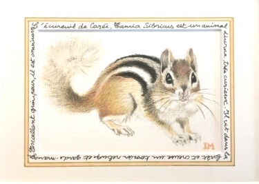 Peinture intitulée "Ecureuil de Corée" par Isabelle Molinard, Œuvre d'art originale, Aquarelle