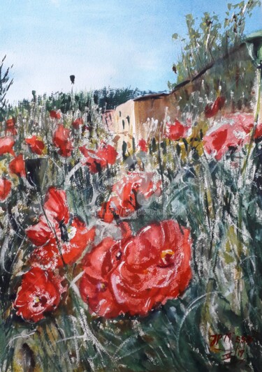 "Coquelicots en Provence"