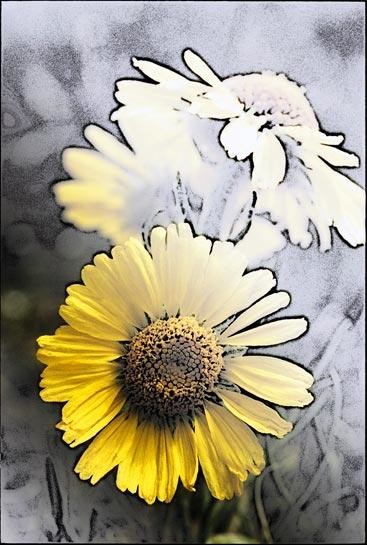 Photography titled "old man of the moun…" by John Stevenson, Original Artwork