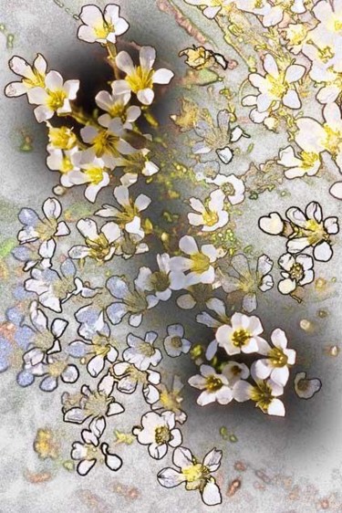 Photography titled "sandywinks" by John Stevenson, Original Artwork