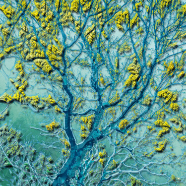 제목이 "Carpinus Fragilis B…"인 디지털 아트 Bernard Pourchet로, 원작, 2D 디지털 작업 나무 들것 프레임에 장착됨