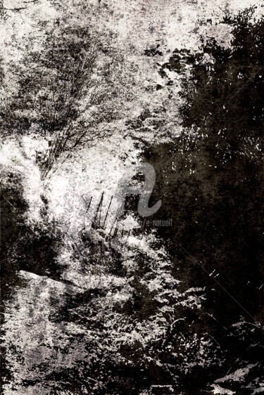 Digital Arts titled "Holzweg#4" by Elyane Natalicchi, Original Artwork, Digital Painting