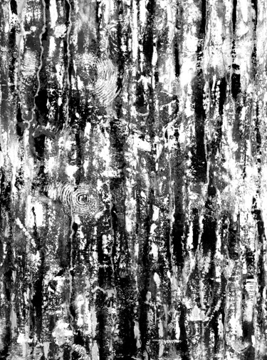 Arts numériques intitulée "Criante(n/b)" par Lidevi, Œuvre d'art originale, Travail numérique 2D