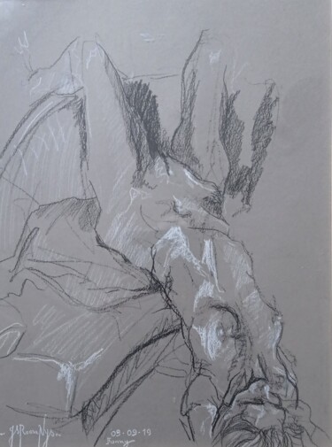 Dessin intitulée "Fanny, pose sur sofa" par Jsroosenys, Œuvre d'art originale, Graphite