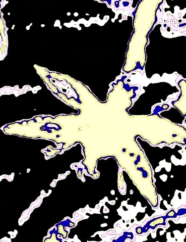 Photography titled "Wildflowers 100g2x5" by Ken Lerner, Original Artwork, Digital Photography