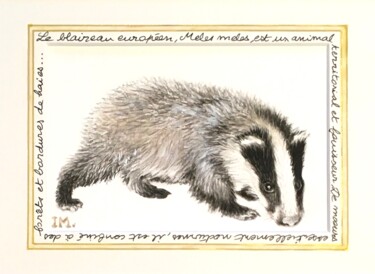 Peinture intitulée "Blaireau 1" par Isabelle Molinard, Œuvre d'art originale, Aquarelle