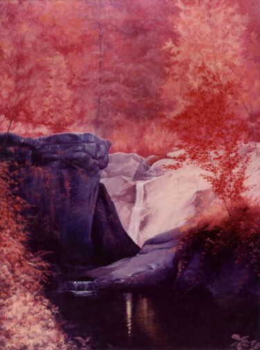 绘画 标题为“la cascade” 由Gisiane Desabliaux, 原创艺术品, 油