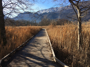 제목이 "Chemin de bois"인 사진 Camille R.로, 원작, 조작되지 않은 사진