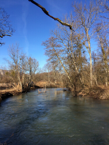 Photography titled "Les arbres, l'eau e…" by Camille R., Original Artwork, Non Manipulated Photography
