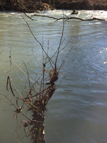 Photography titled "Friselis" by Camille R., Original Artwork, Non Manipulated Photography