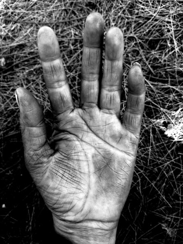 Fotografía titulada "Mi mano" por Adelina Reyes, Obra de arte original, Fotografía digital