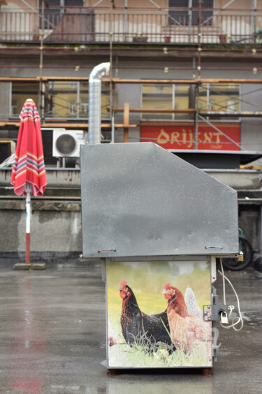 摄影 标题为“Two chickens in the…” 由Alen Gurovic, 原创艺术品, 数码摄影
