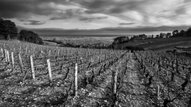 Climat En vaut, Volnay Photographie intitulée "Climat En vaut, Vol…" par Alain Rappeneau, Œuvre d'art originale, Photographie numérique