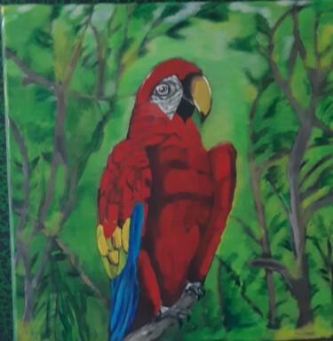 Jaco le perroquet Painting titled "Jaco le perroquet" by Delphine Grezes, Original Artwork, Acrylic
