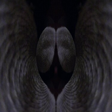 Photography titled "Angel wings" by Dawn Mccutcheon, Original Artwork, Digital Photography