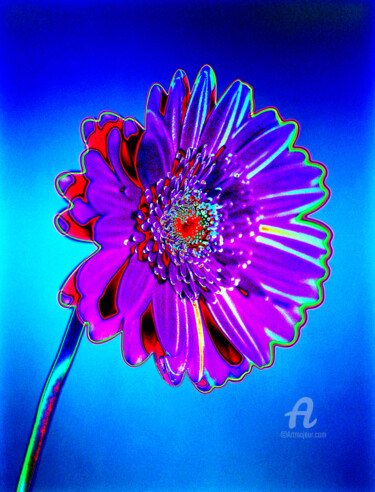 제목이 "MacGerbera2"인 사진 Gerhard Bumann로, 원작, 조작된 사진
