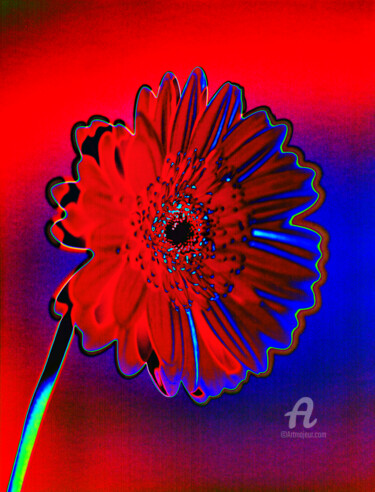 제목이 "MacGerbera6"인 사진 Gerhard Bumann로, 원작, 조작된 사진