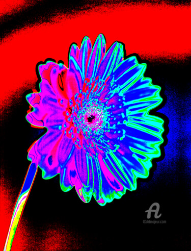 제목이 "MacGerbera8"인 사진 Gerhard Bumann로, 원작, 조작된 사진