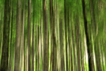 摄影 标题为“WALD_BGLmove088kG2” 由Gerhard Bumann, 原创艺术品, 数码摄影