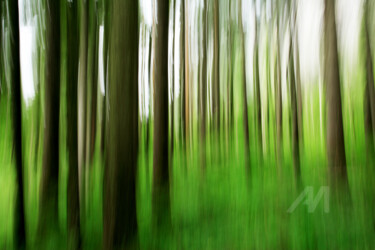 摄影 标题为“WALD_BGLmove097kG2” 由Gerhard Bumann, 原创艺术品, 数码摄影