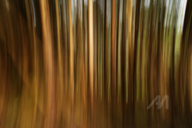 摄影 标题为“WALDmove_20” 由Gerhard Bumann, 原创艺术品, 数码摄影