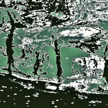 A Storm in Dali's Forest 1e15b 摄影 标题为“A Storm in Dali's F…” 由Ken Lerner, 原创艺术品, 数码摄影