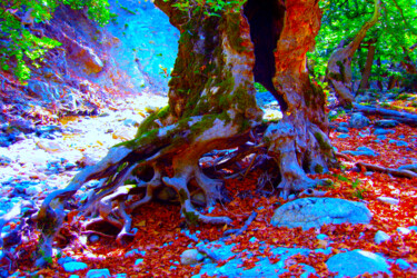 Digital Arts με τίτλο "Red Tree" από Manos Chronakis, Αυθεντικά έργα τέχνης, Φωτογραφία Μοντάζ