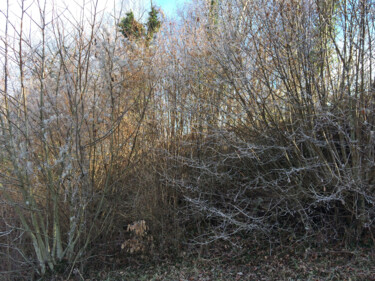 Photography titled "Un froid lumineux" by Camille R., Original Artwork, Non Manipulated Photography