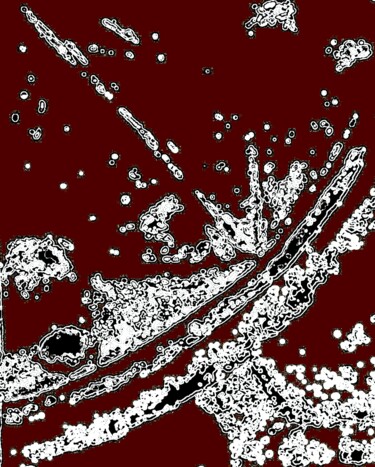 「Splashing 2a3」というタイトルの写真撮影 Ken Lernerによって, オリジナルのアートワーク, デジタル