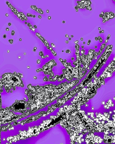 「Splashing 2a7e2」というタイトルの写真撮影 Ken Lernerによって, オリジナルのアートワーク, デジタル