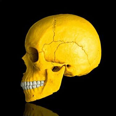 数字艺术 标题为“Death in Yellow” 由Jean-Marie Gitard (Mr STRANGE), 原创艺术品, 照片蒙太奇