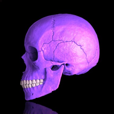 数字艺术 标题为“Death in Violet” 由Jean-Marie Gitard (Mr STRANGE), 原创艺术品, 照片蒙太奇