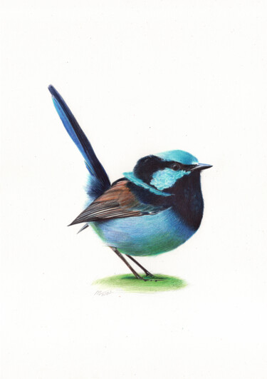 Superb Fairywren - Bird Portrait (Photorealistic Drawing) 图画 标题为“Superb Fairywren -…” 由Daria Maier, 原创艺术品, 圆珠笔