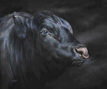 Aberdeen Angus show bull Pintura intitulada "Aberdeen Angus show…" por Una Hurst, Obras de arte originais, Óleo