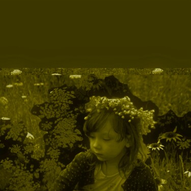 Arts numériques intitulée "Forêt, Forêt Verte…" par Nana Plamadeala-Kiritchenko, Œuvre d'art originale, Photo montage