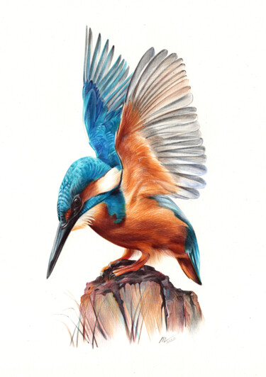 River Kingfisher - Bird Portrait (Photorealistic Drawing) 图画 标题为“River Kingfisher -…” 由Daria Maier, 原创艺术品, 圆珠笔