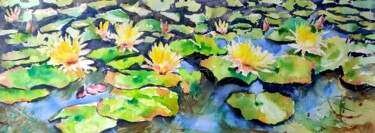 Yellow Waterlilies in a pond