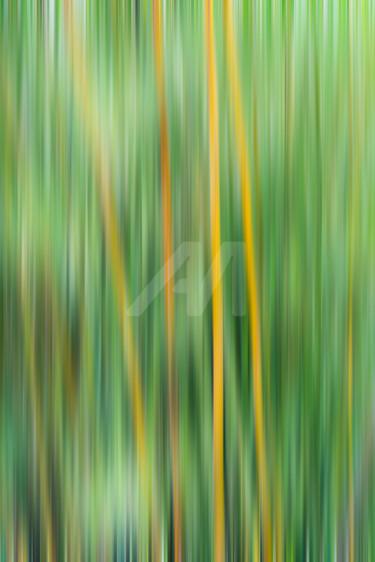 Photography titled "Doubt of Flame" by Glauco Meneghelli, Original Artwork, Digital Photography